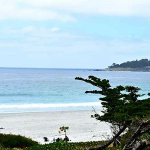 Meet your Posher, Tammie